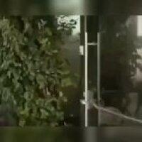 Honestly didn’t expect that