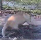 I will be THIS happy when summer comes