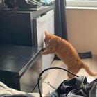 Reorganizing the closet