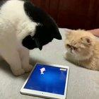 He won't let him play in peace