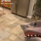 I wasn’t expecting that