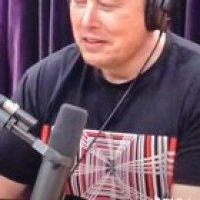 Elon seem ashamed to anyone else?