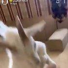 What's that in the background ??