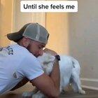 Баян, в котором чтоб не пугать спящую слепо-глухую собаку, хозяин слегка дует на нее.