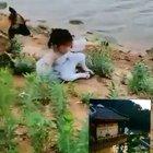 Good boye saves little girl and her ball