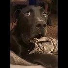 En ese momento se dio cuenta, que la había cagado.