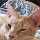 Day 60 of shelter in place