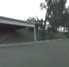 cool skate trick