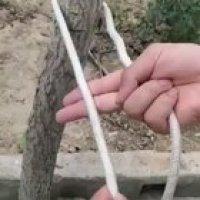 Here is an easy one that you can learn if you didn't already know it.