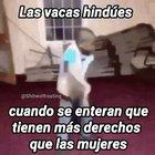 Se le ve bien fachero a mi pana.