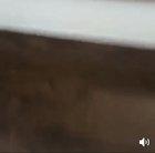 Step bro what are you doing?