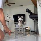 Nice try... not falling for the old I love you trick again!