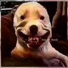 Quirky😹😹😹😹😹🥶🥶🥶🥶🥶😎😎😎🥵🥵🥵😜😜😜😜🤪🤪🤪