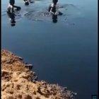 Me and the boys swimming in our free oil.