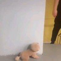 Today I’ll definitely scare you...