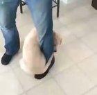 “Stand still human. I’ve been waiting for this my entire life”