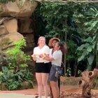 HMC while we hold a small snek