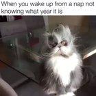 Me this morning 🔥😂