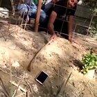 My last two brain cells