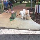 I didn't think they'd get it