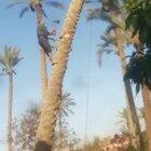 HMFT after I go some gardening