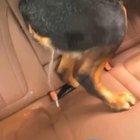 It’ll surely be fun to clean!