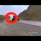 epic troll turtle 🐢 ضرطة أنبوب الجنس الزنجي nigga sex 😱 whatsapp +966 53 688 1104