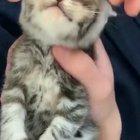 That feels so...aaahhh......