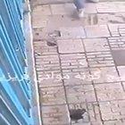 eggplant انفجار مهبلي سوداني واق ذكري cigarette علاج العدوى الفيروسية DESTROYED 😂😂😂 480pSearch Results Web results