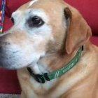 The death stare is so intense it made me feel nervous