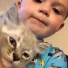 Kid speaks to the kitten.
