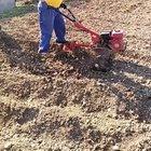 okay I didnt expect that