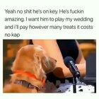 This dog is my spirit animal