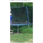 Cat Party! Cats only