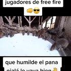 Se le ve muy humilde a mi pana Luisito grabando con ellos 😭👊