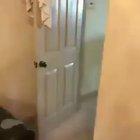 Dodge this you bastard