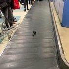 Who's claiming that?