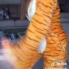 From TikTok 🐯