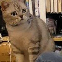 How could you, you traitorous meatbag?