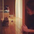 Something scary.. Must find out!