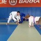 A guy wrestling with his dog