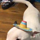 SENÕR WALTER SENÕR WALTER SENÕR WALTER SENÕR WALTER SENÕR WALTER