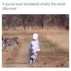 You just have to be faster than the idiots...