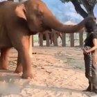 3 minutes of animals sharing their love