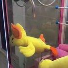 I can do this all day