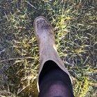 Crunching into frozen flooded grass