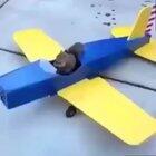 Hey there, *upvote* and i might give u a smoosh