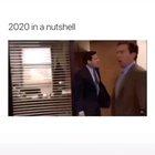 2020 in a nutshell