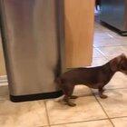 Audience I need you to sing along