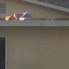 The pig in the end is the highlight